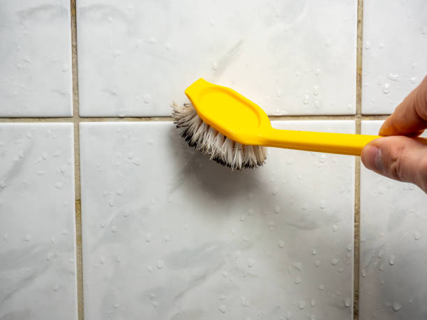Best Residential Mold Remediation in Upland, PA